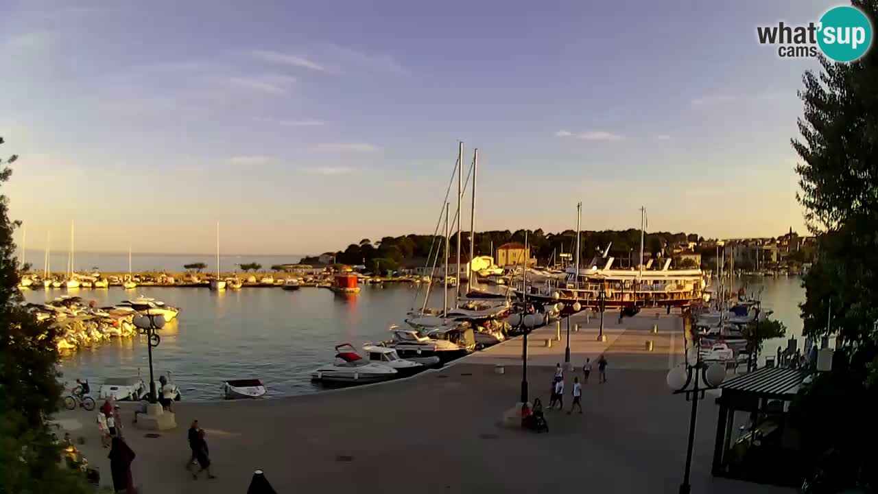 Webcam Krk – marina