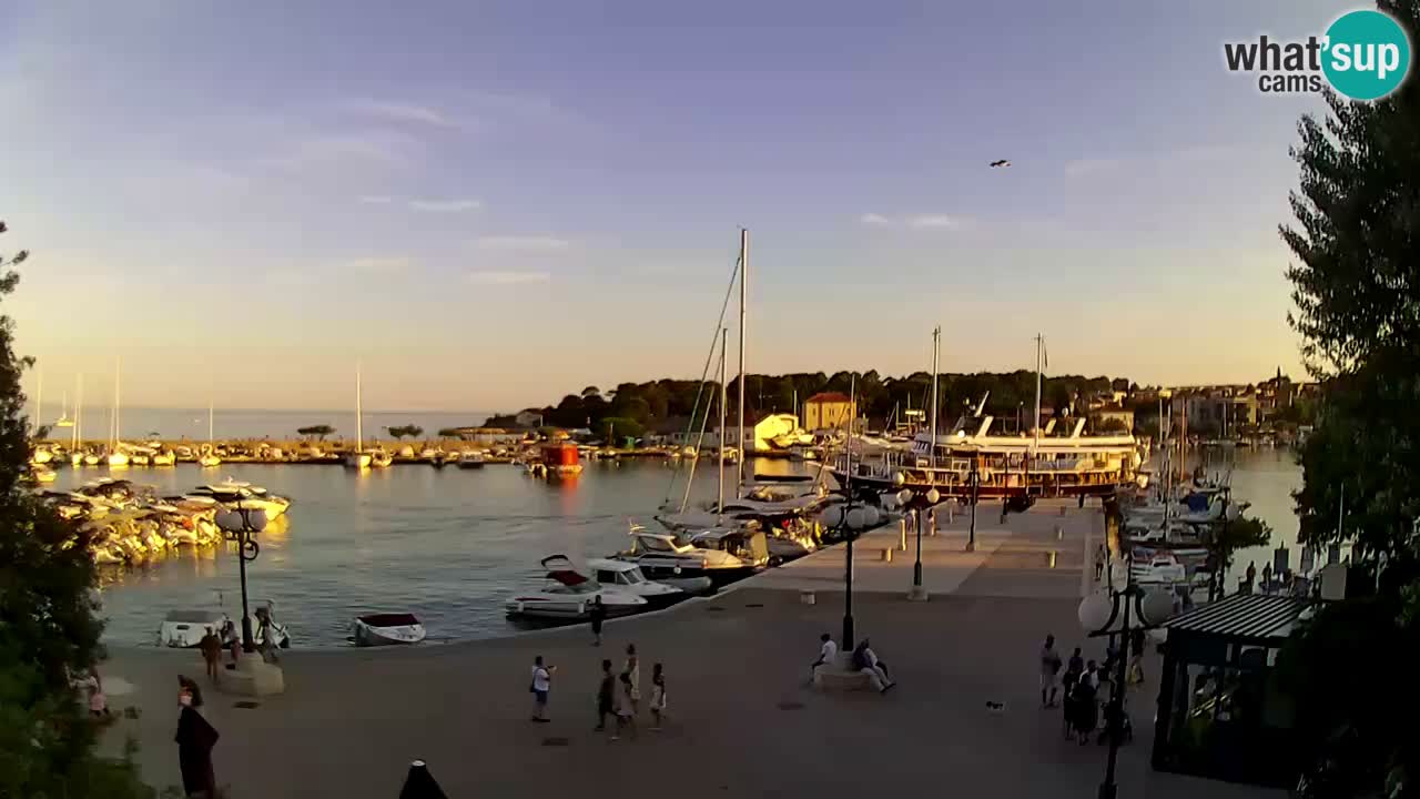 Webcam Krk – marina