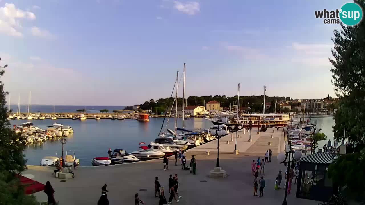 Webcam Krk – marina
