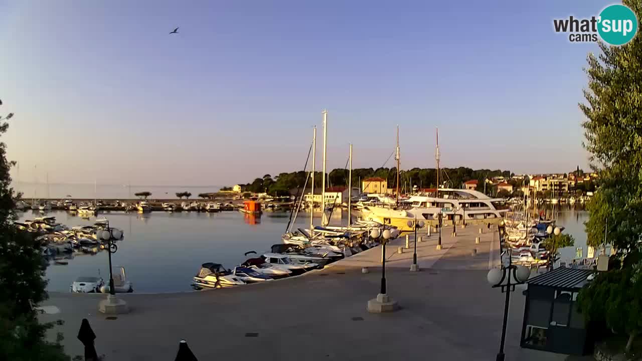 Webcam Krk – marina