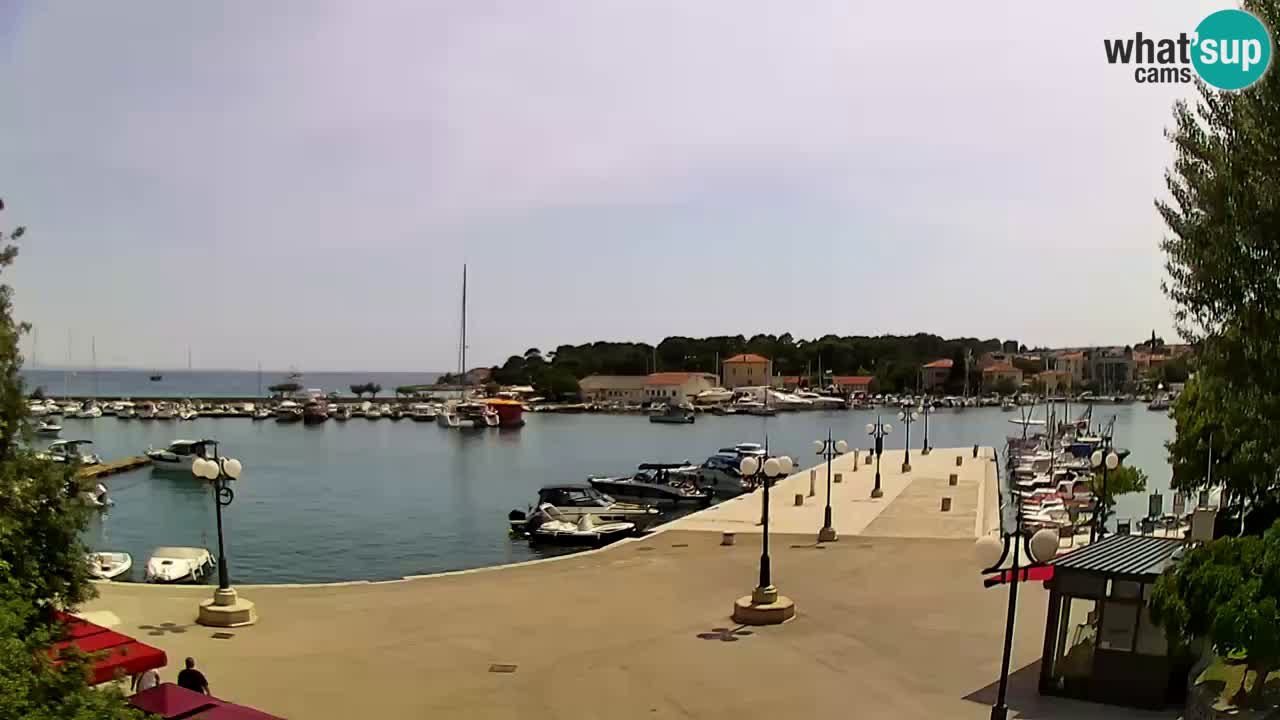 Webcam Krk – marina