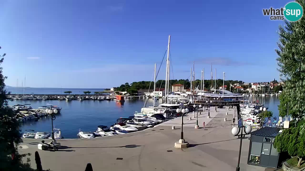 Webcam Krk – marina