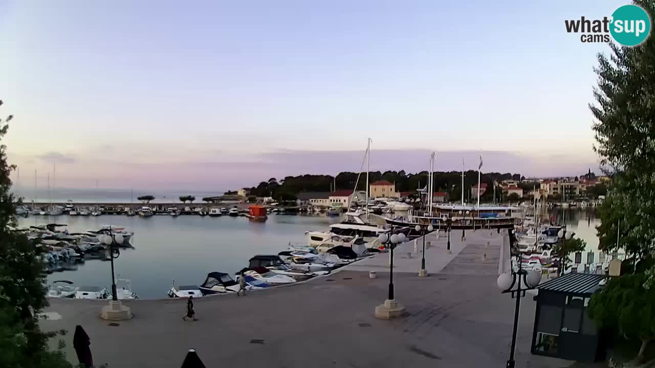 Webcam Krk – marina