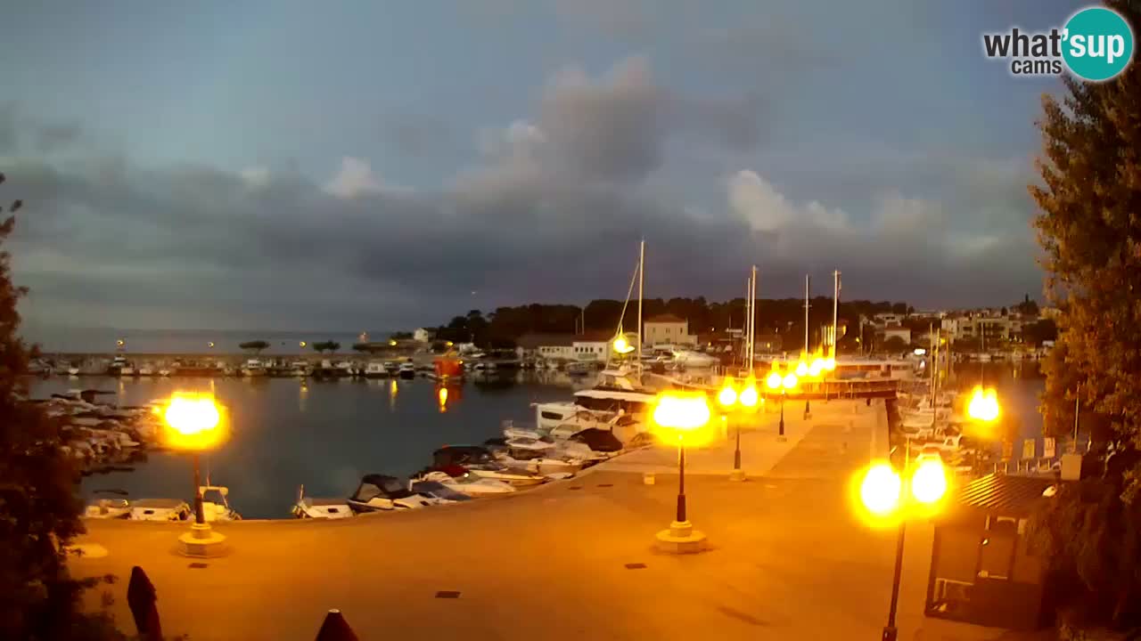 Webcam Krk – marina