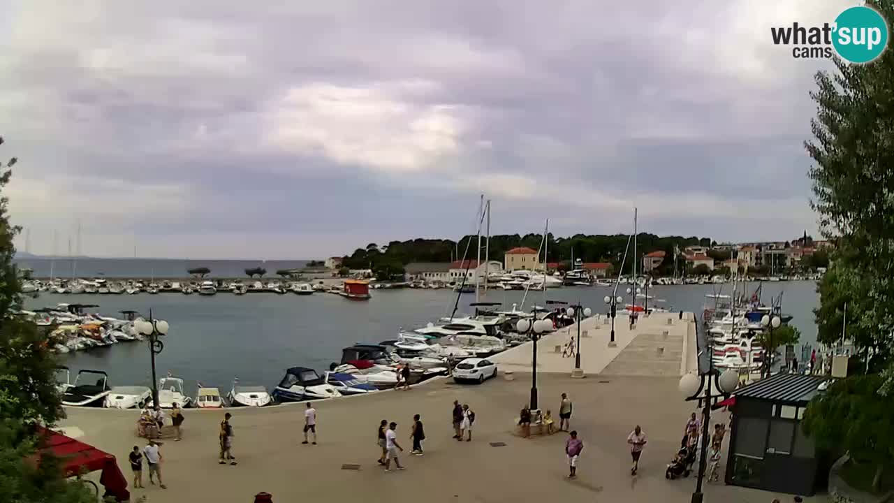 Webcam Krk – marina