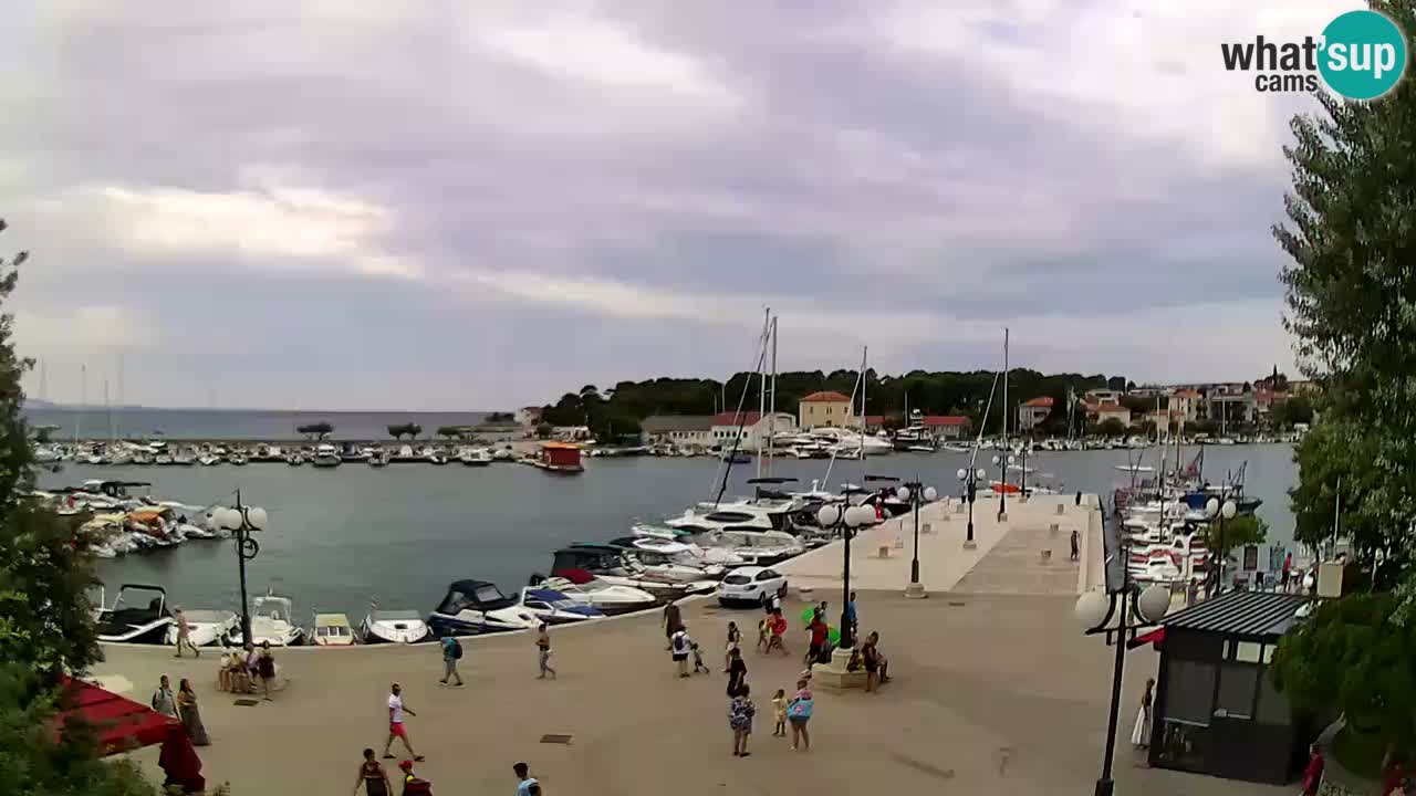 Webcam Krk – marina
