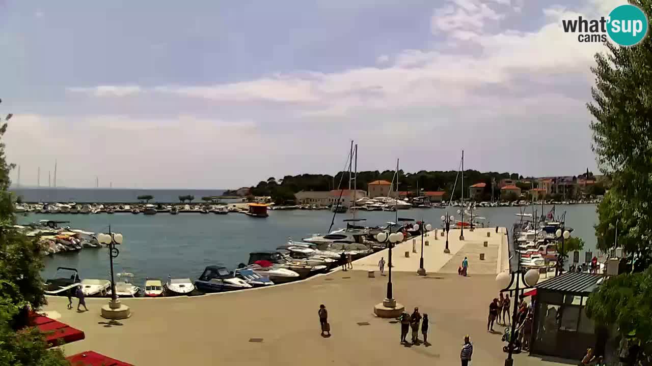 Webcam Krk – marina