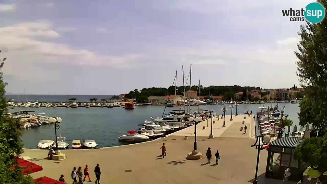 Webcam Krk – marina