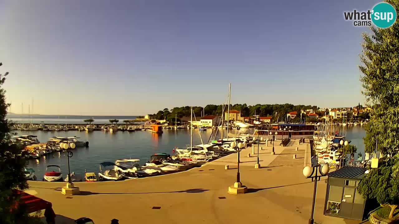 Webcam Krk – marina