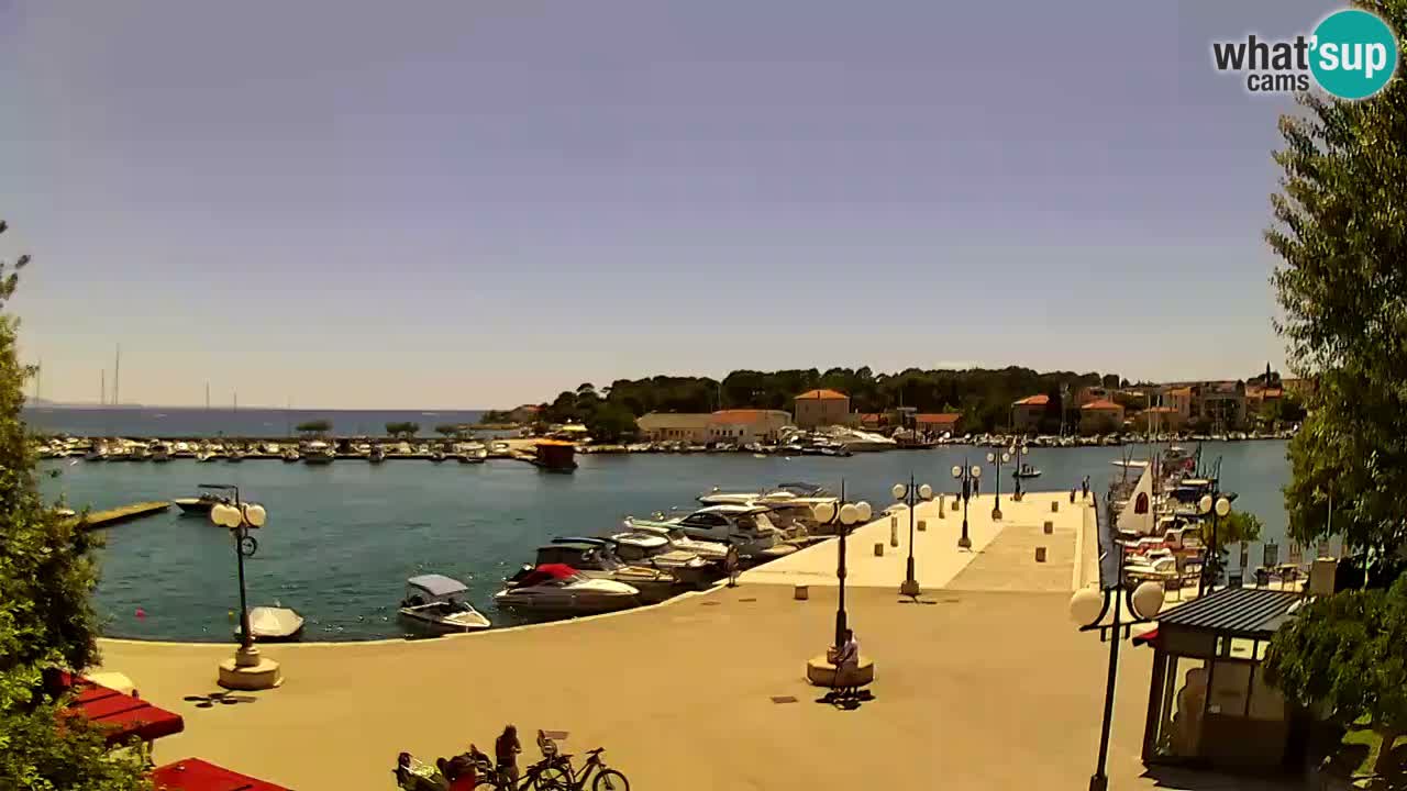 Webcam Krk – marina