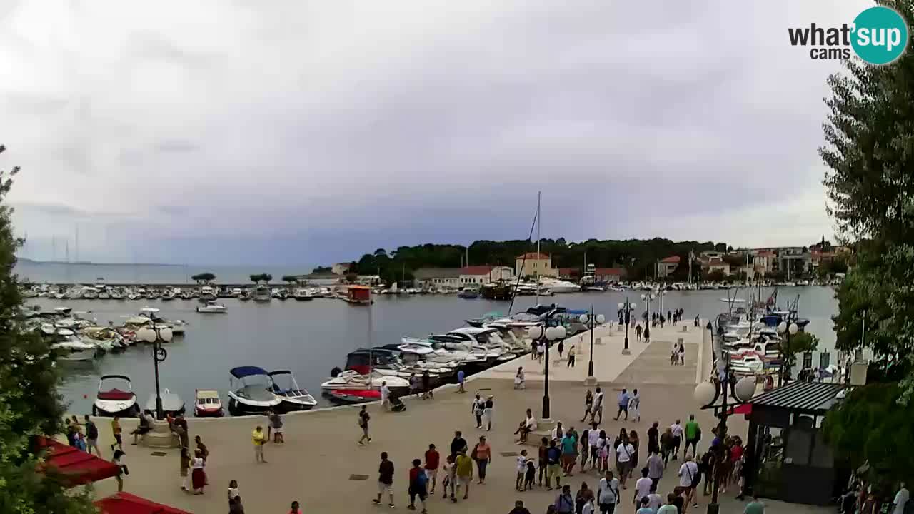 Webcam Krk – marina
