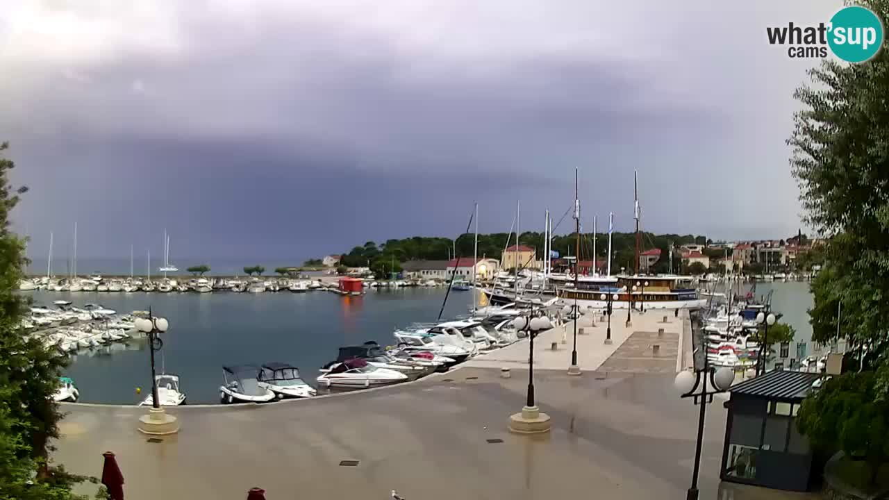 Webcam Krk – marina
