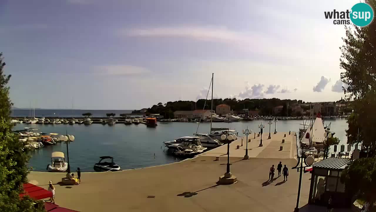 Webcam Krk – marina