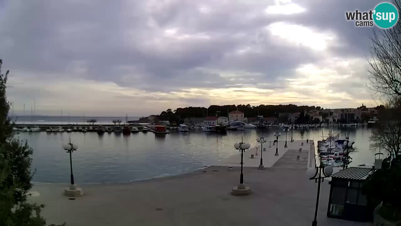 Webcam Krk – marina