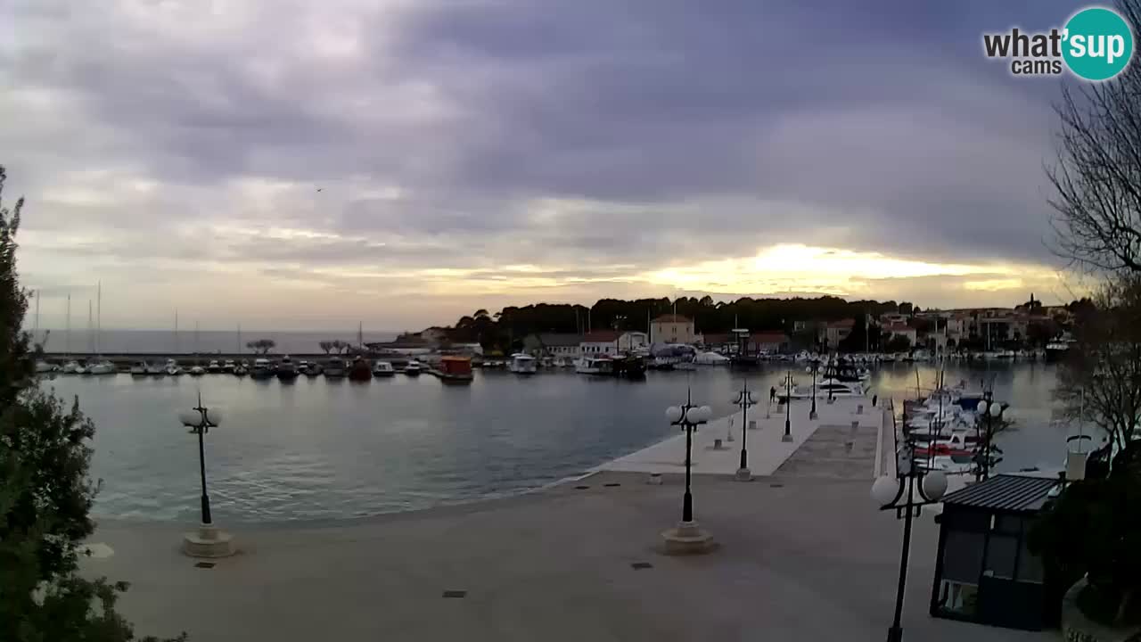 Webcam Krk – marina