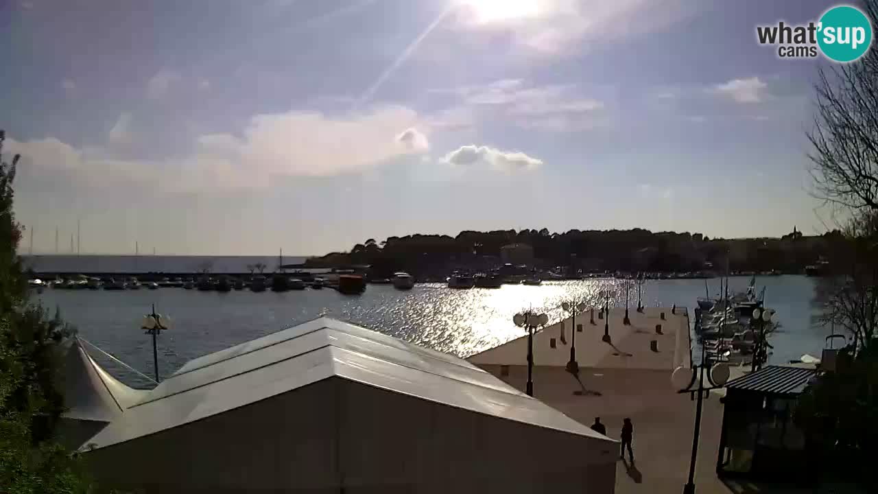 Webcam Krk – marina