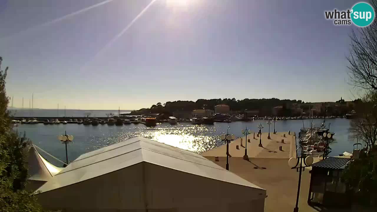 Webcam Krk – marina