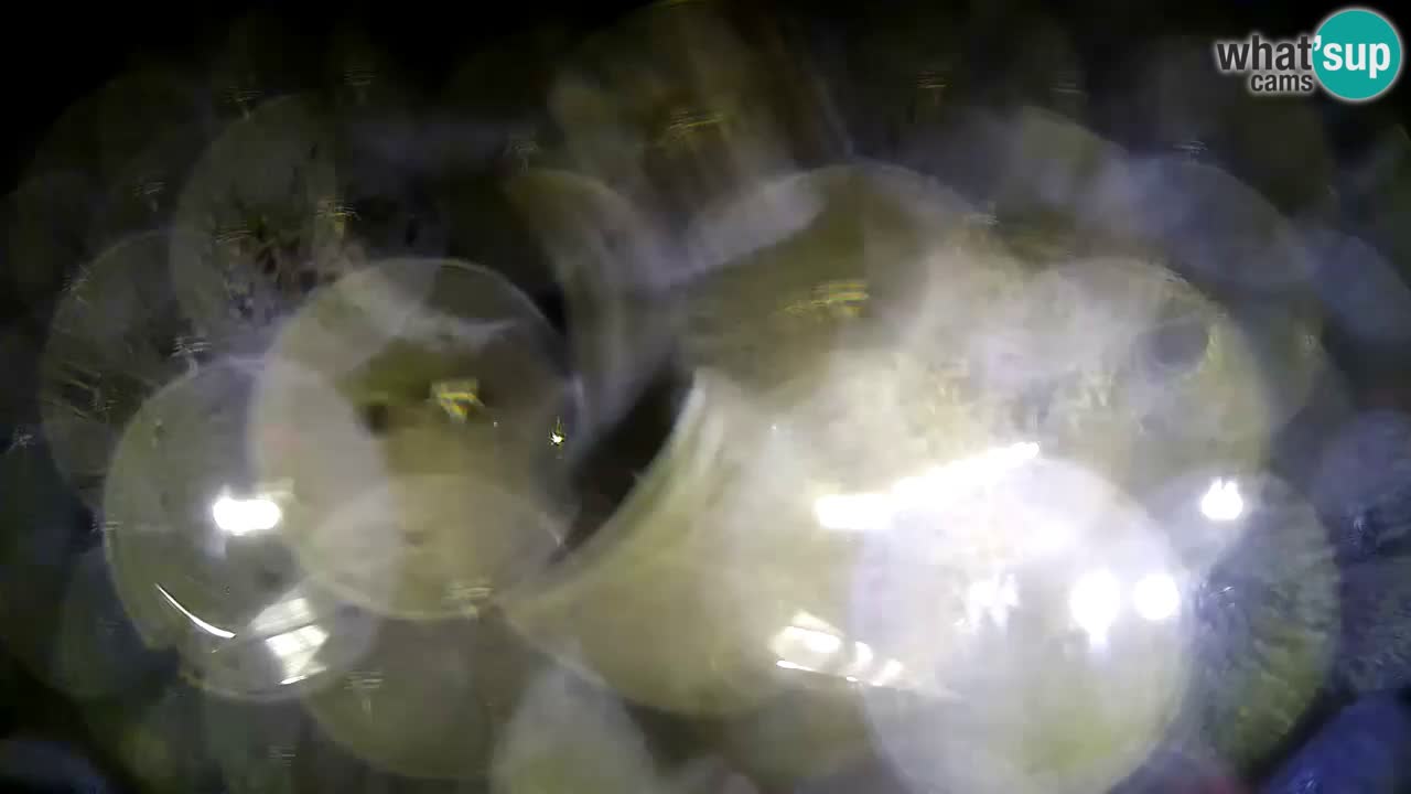 Spletna kamera Krk – marina