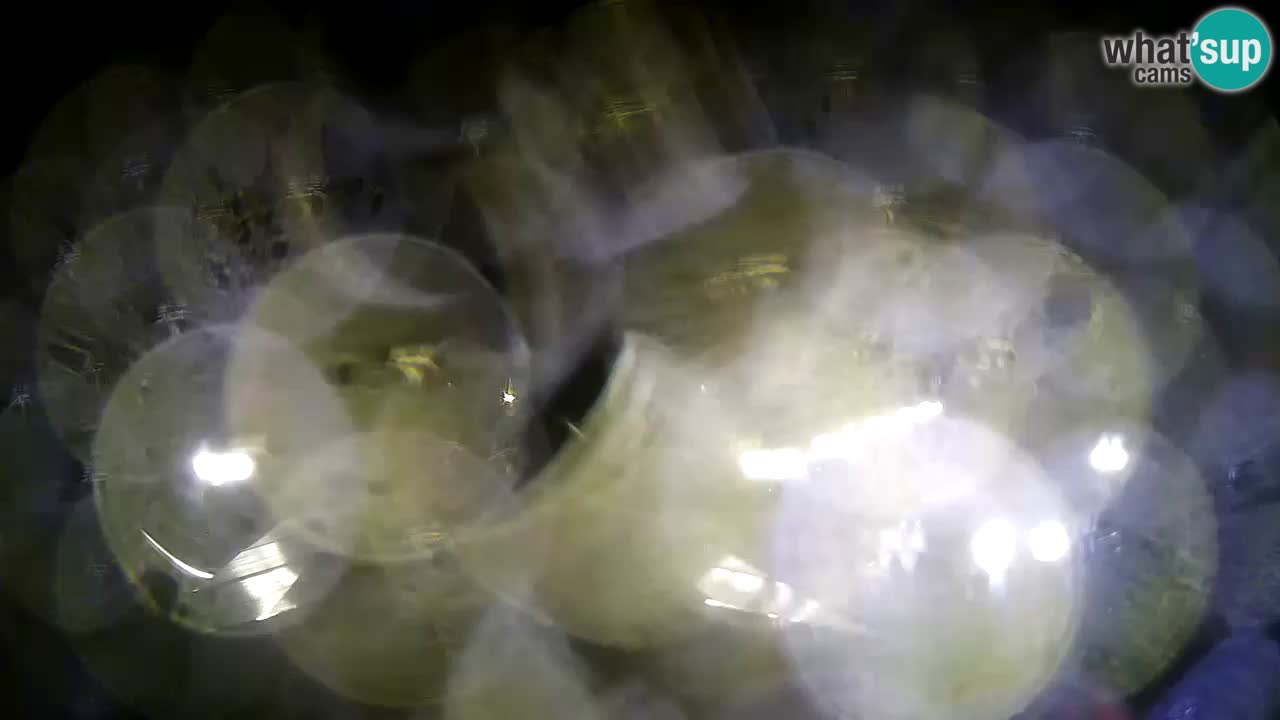 Webcam Krk – marina