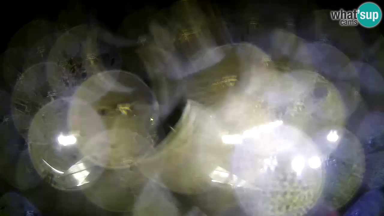 Webcam Krk – marina