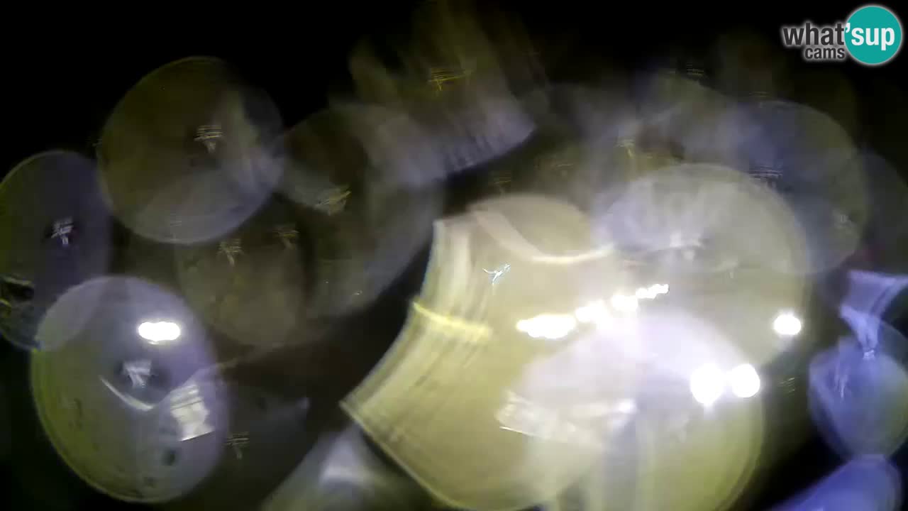 Webcam Krk – marina