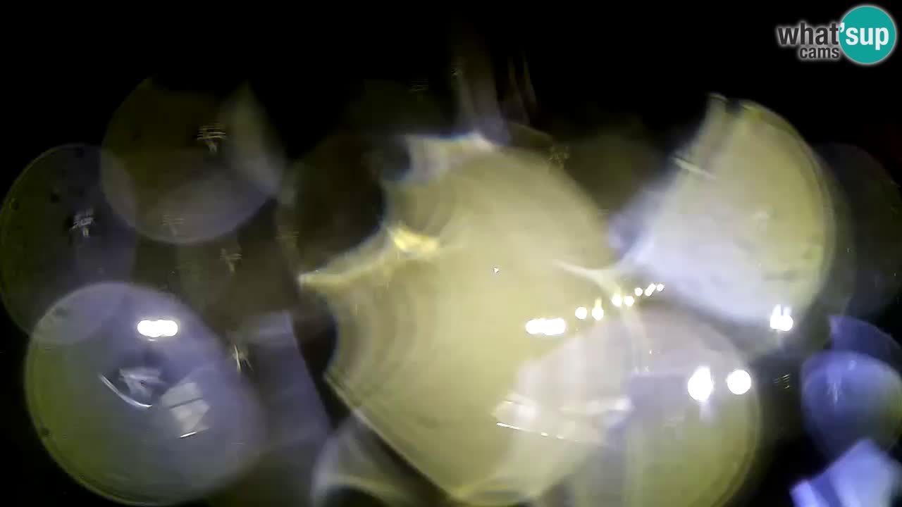 Webcam Krk – marina