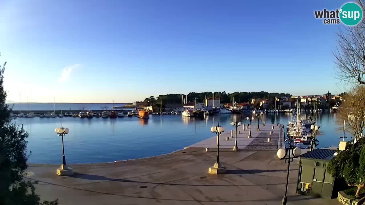 Webcam Krk – marina