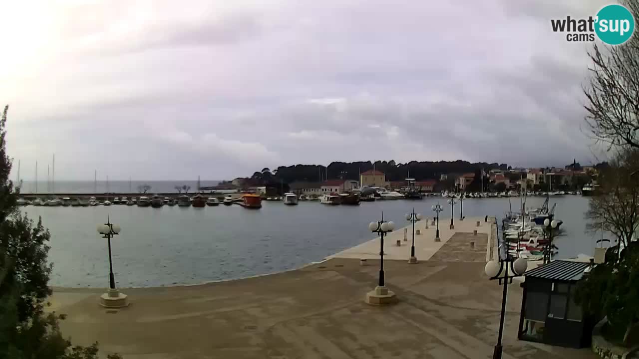 Webcam Krk – marina