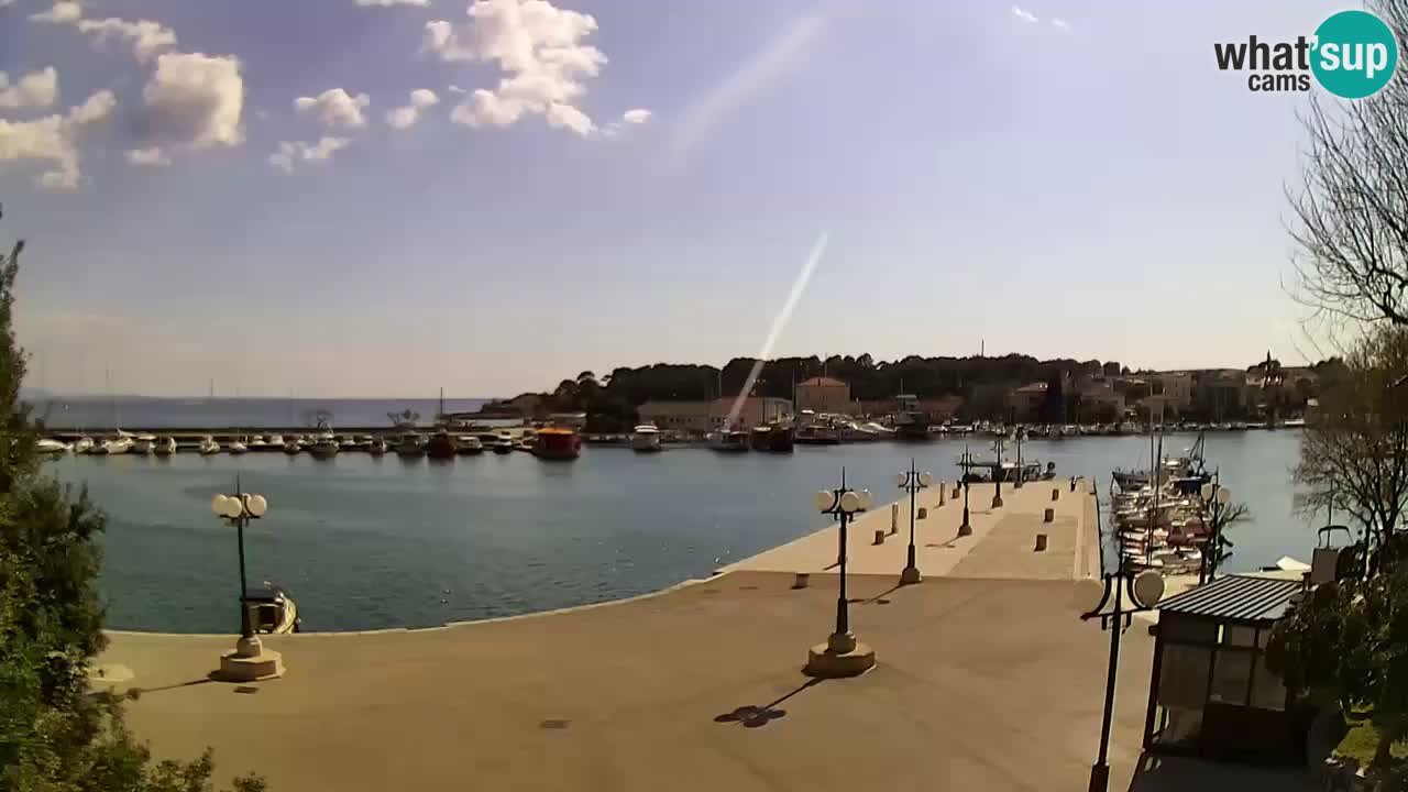 Webcam Krk – marina