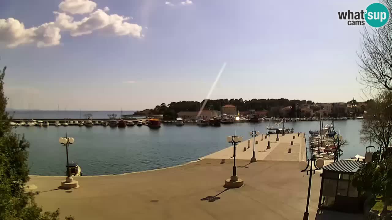 Webcam Krk – marina
