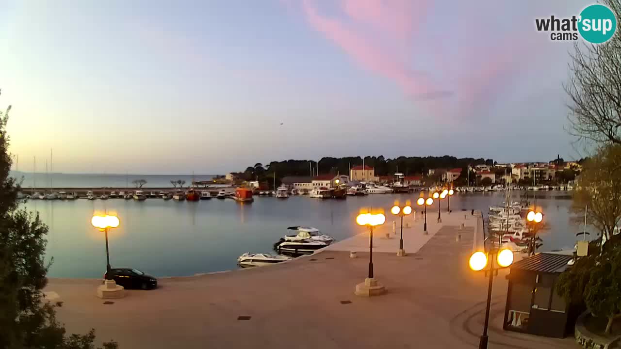 Webcam Krk – marina