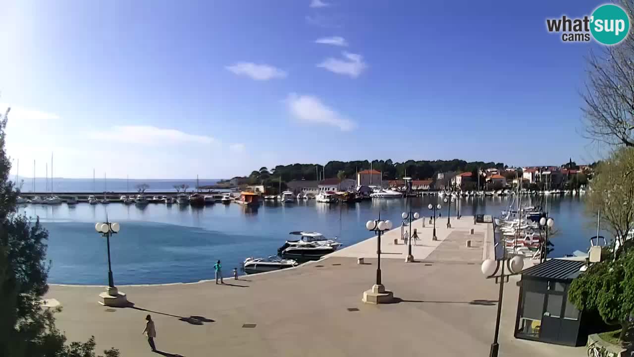 Webcam Krk – marina