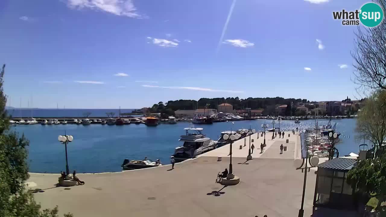 Webcam Krk – marina
