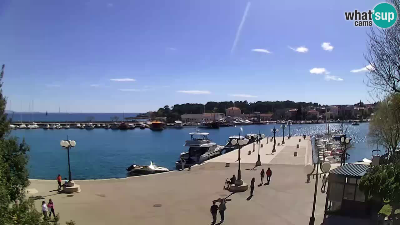 Webcam Krk – marina