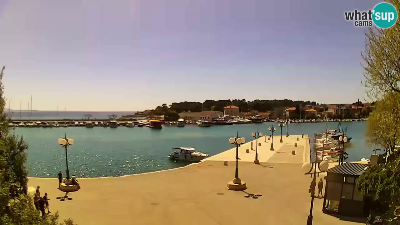 Webcam Krk – marina