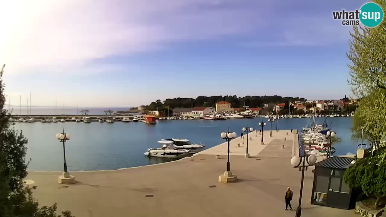 Webcam Krk – marina