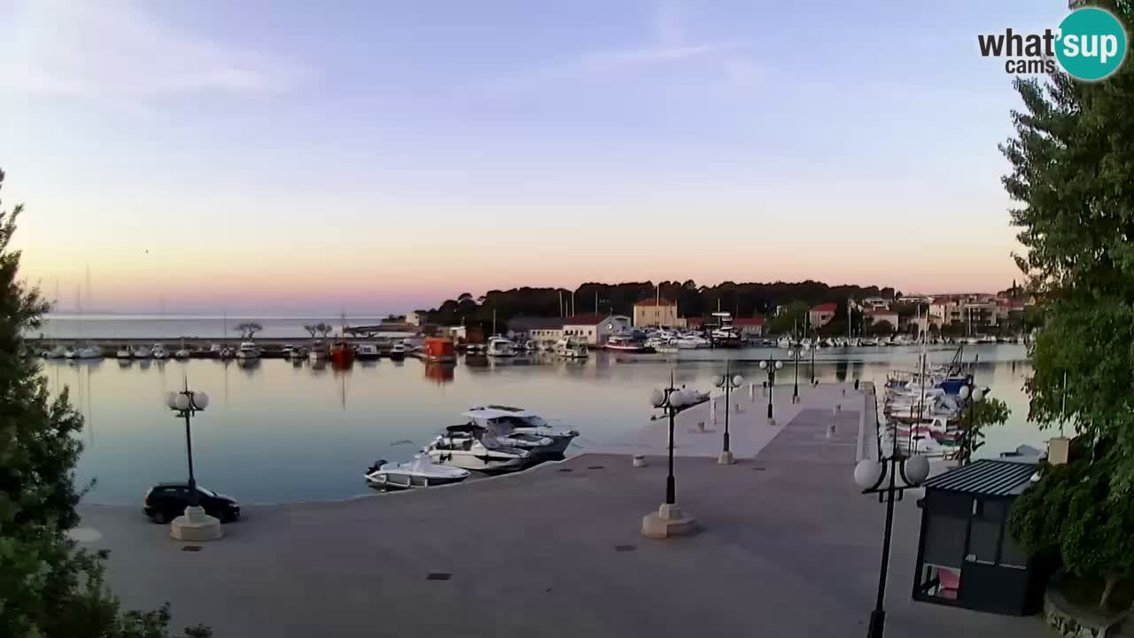 Webcam Krk – marina