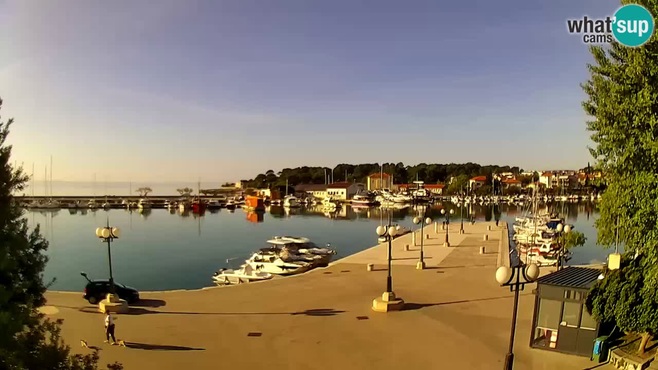 Webcam Krk – marina