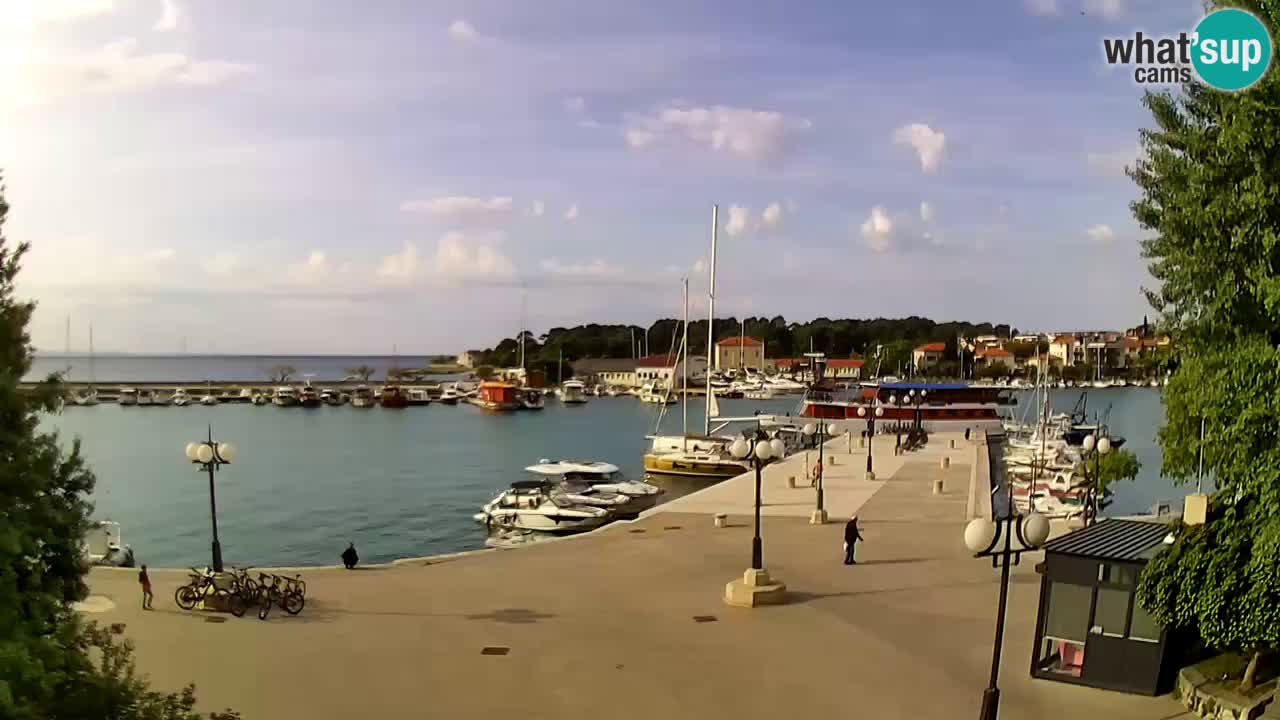 Webcam Krk – marina