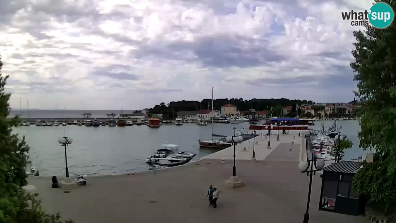 Webcam Krk – marina