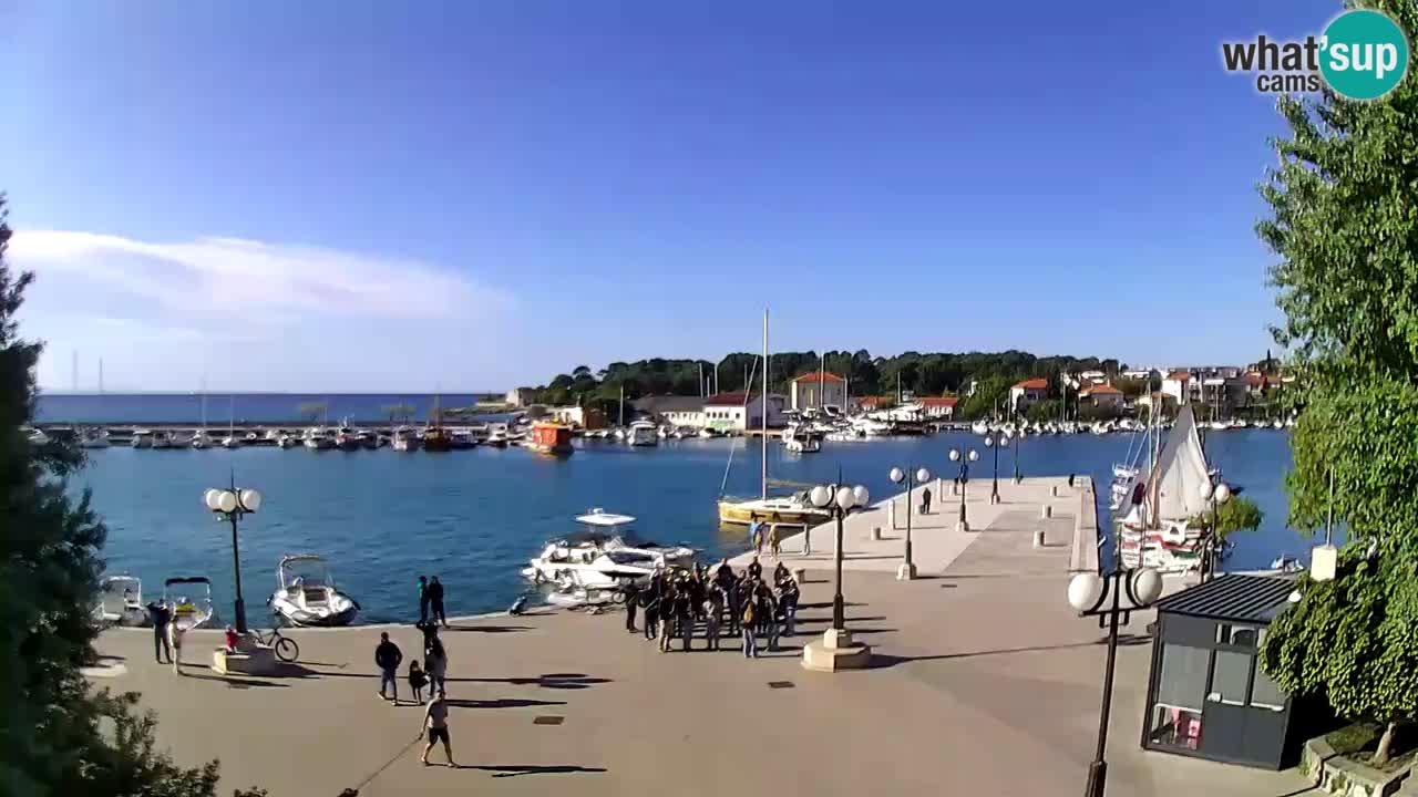 Webcam Krk – marina