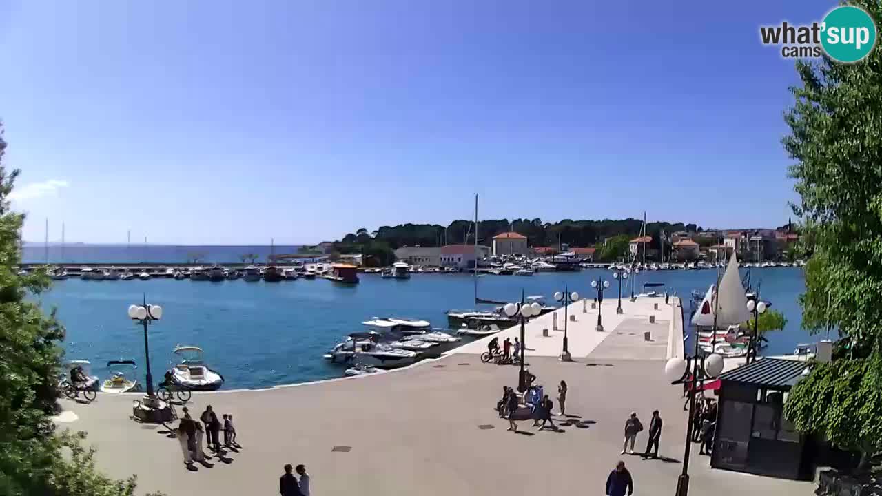 Webcam Krk – marina