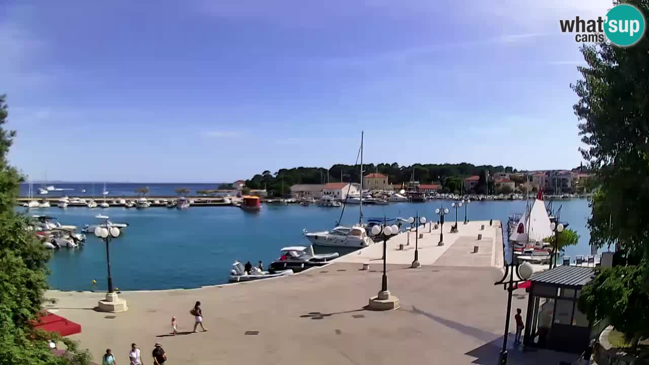 Webcam Krk – marina