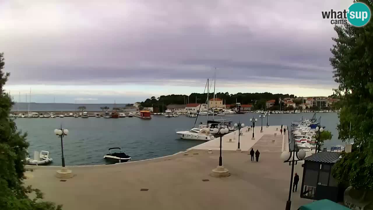 Webcam Krk – marina