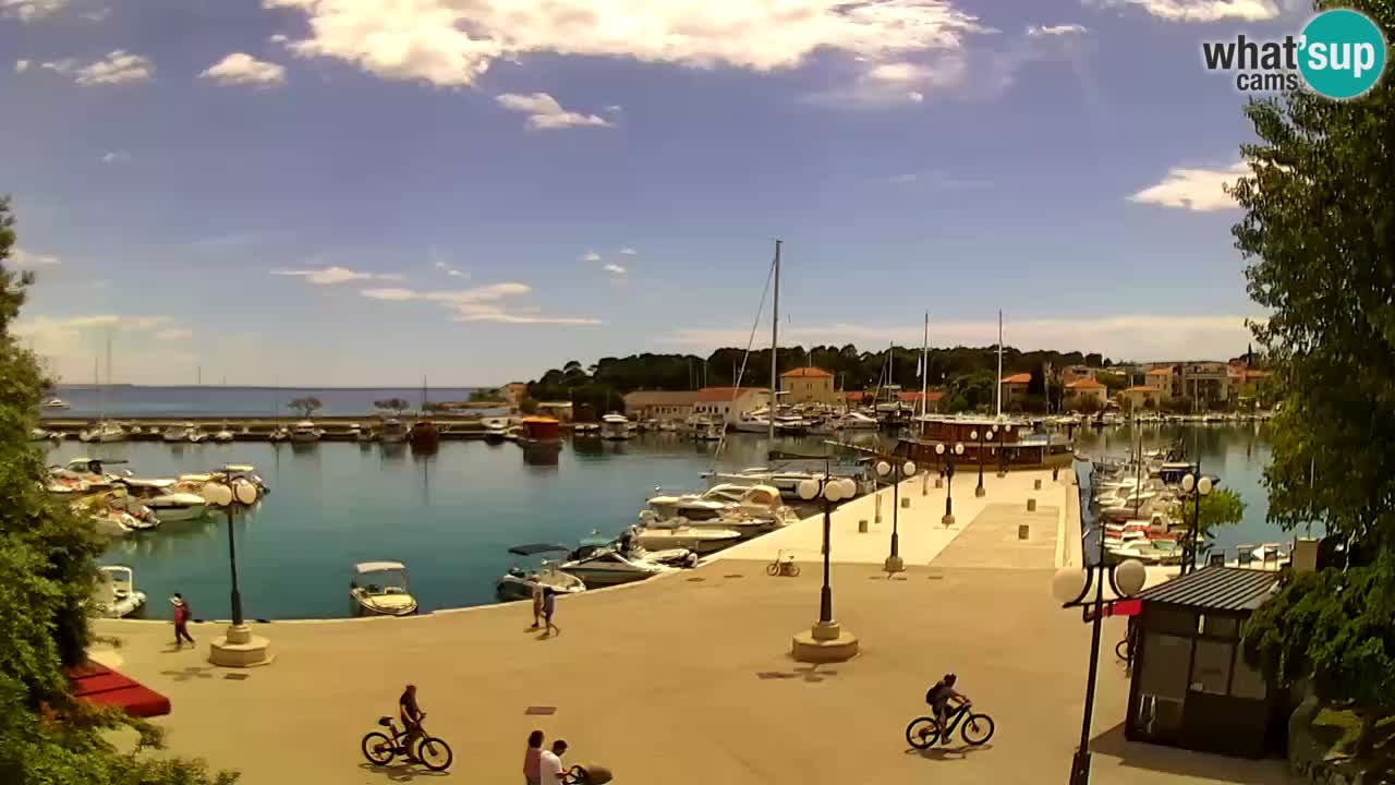Webcam Krk – marina