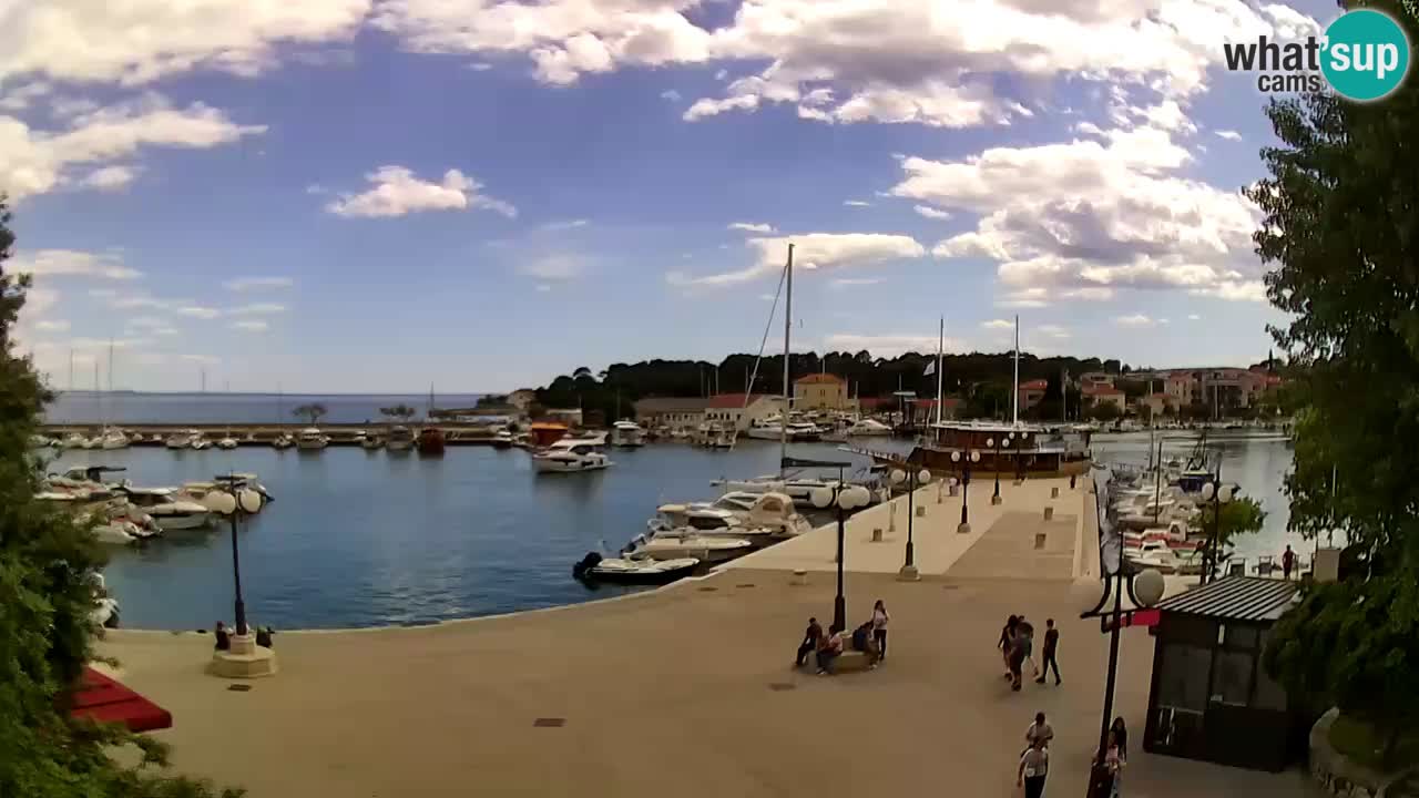 Webcam Krk – marina