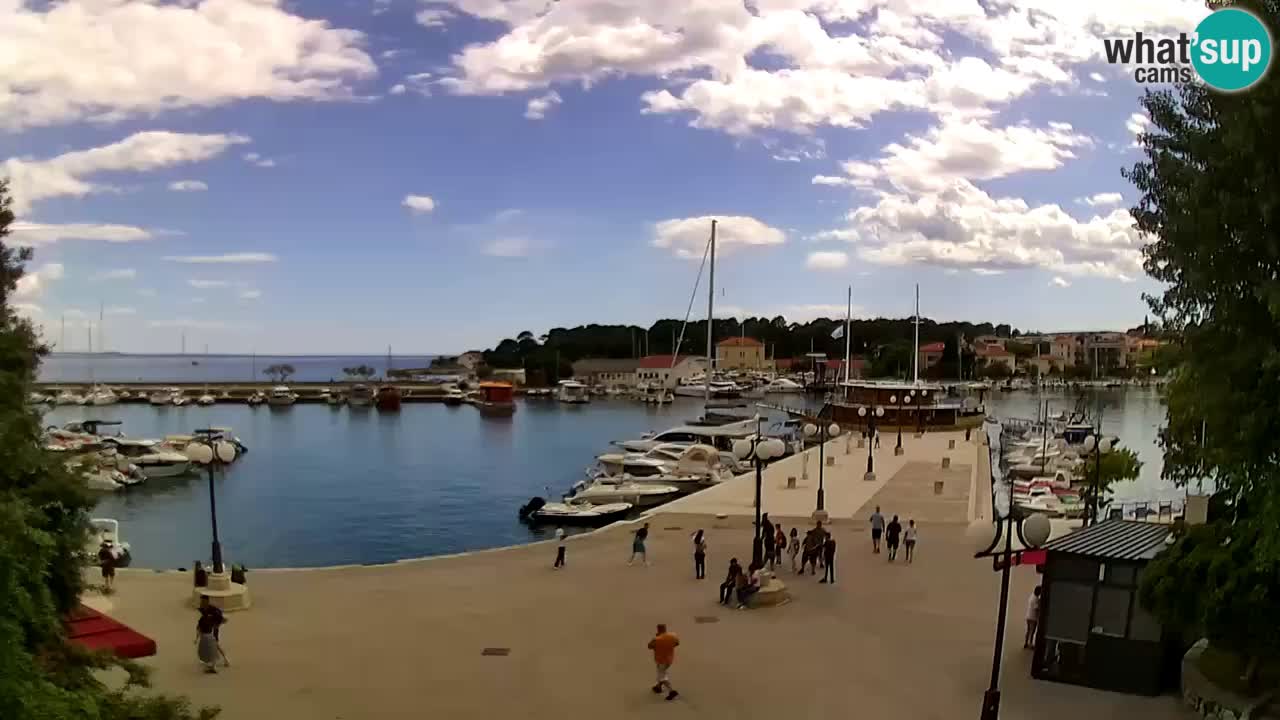 Webcam Krk – marina