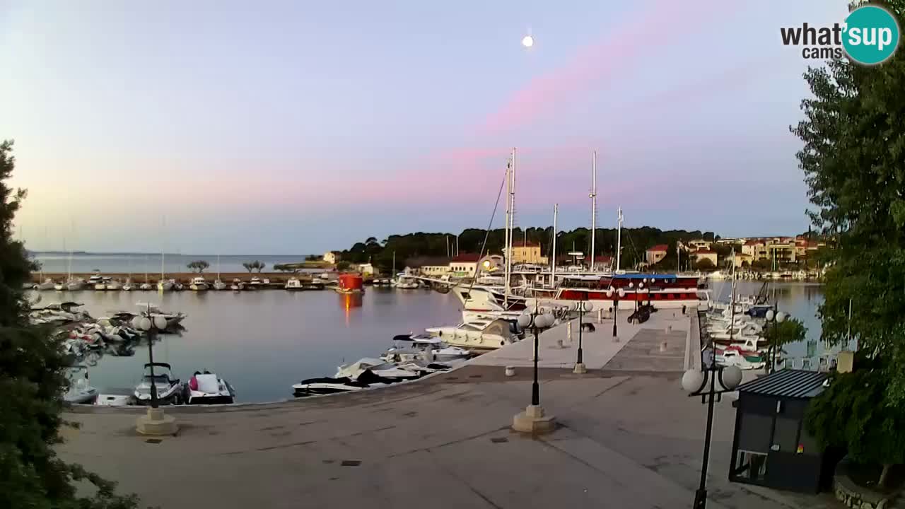Webcam Krk – marina
