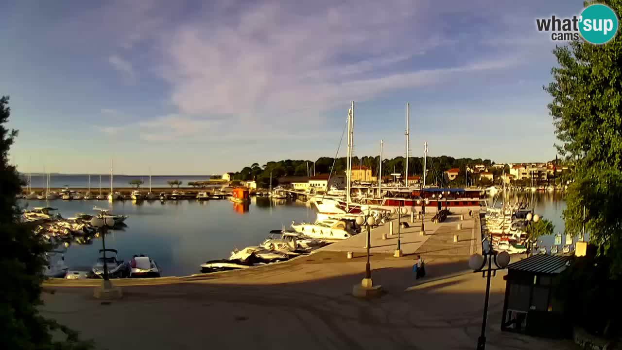 Webcam Krk – marina