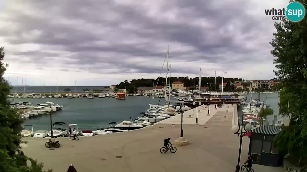 Webcam Krk – marina